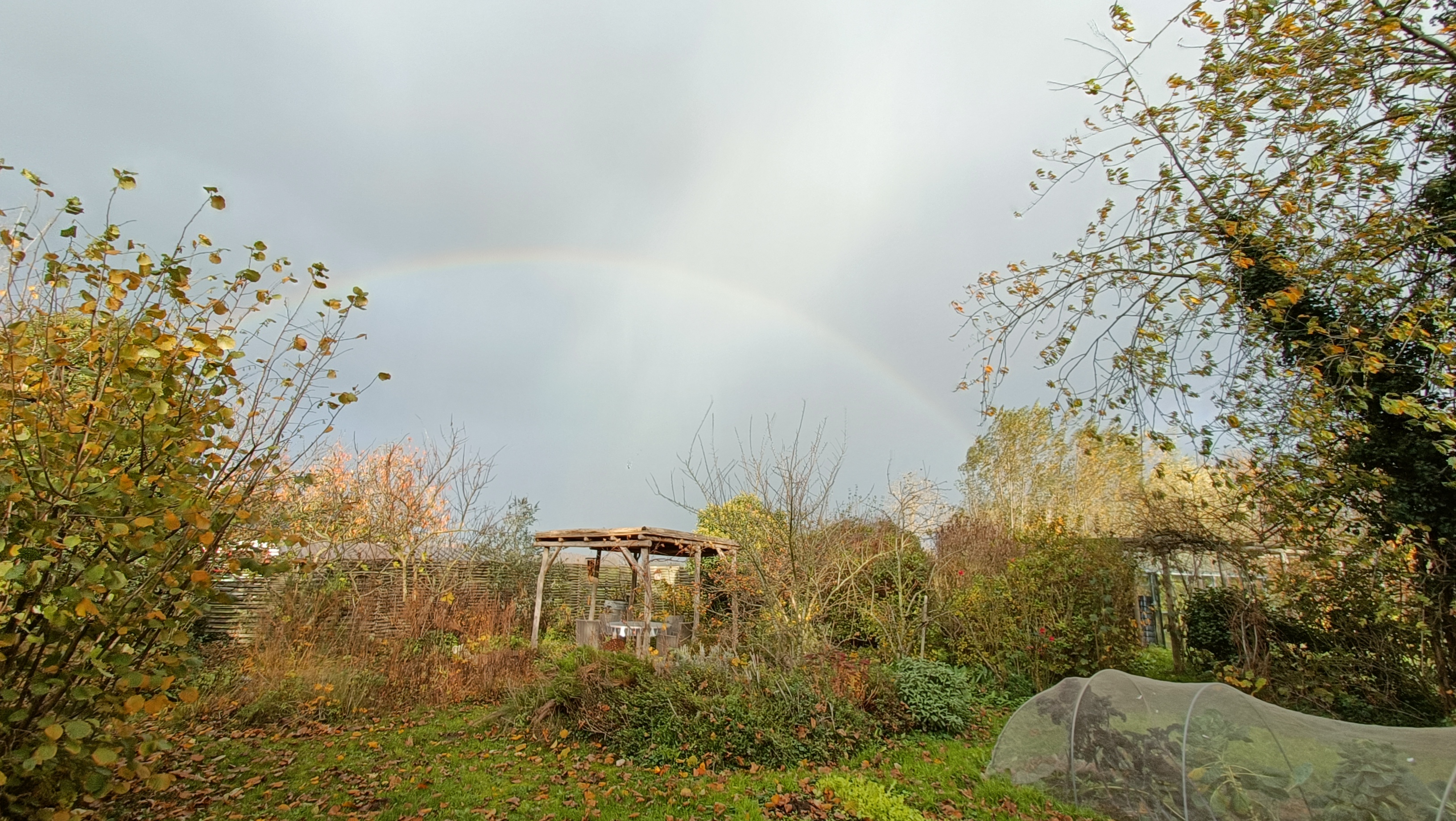 Tuin (herfst)