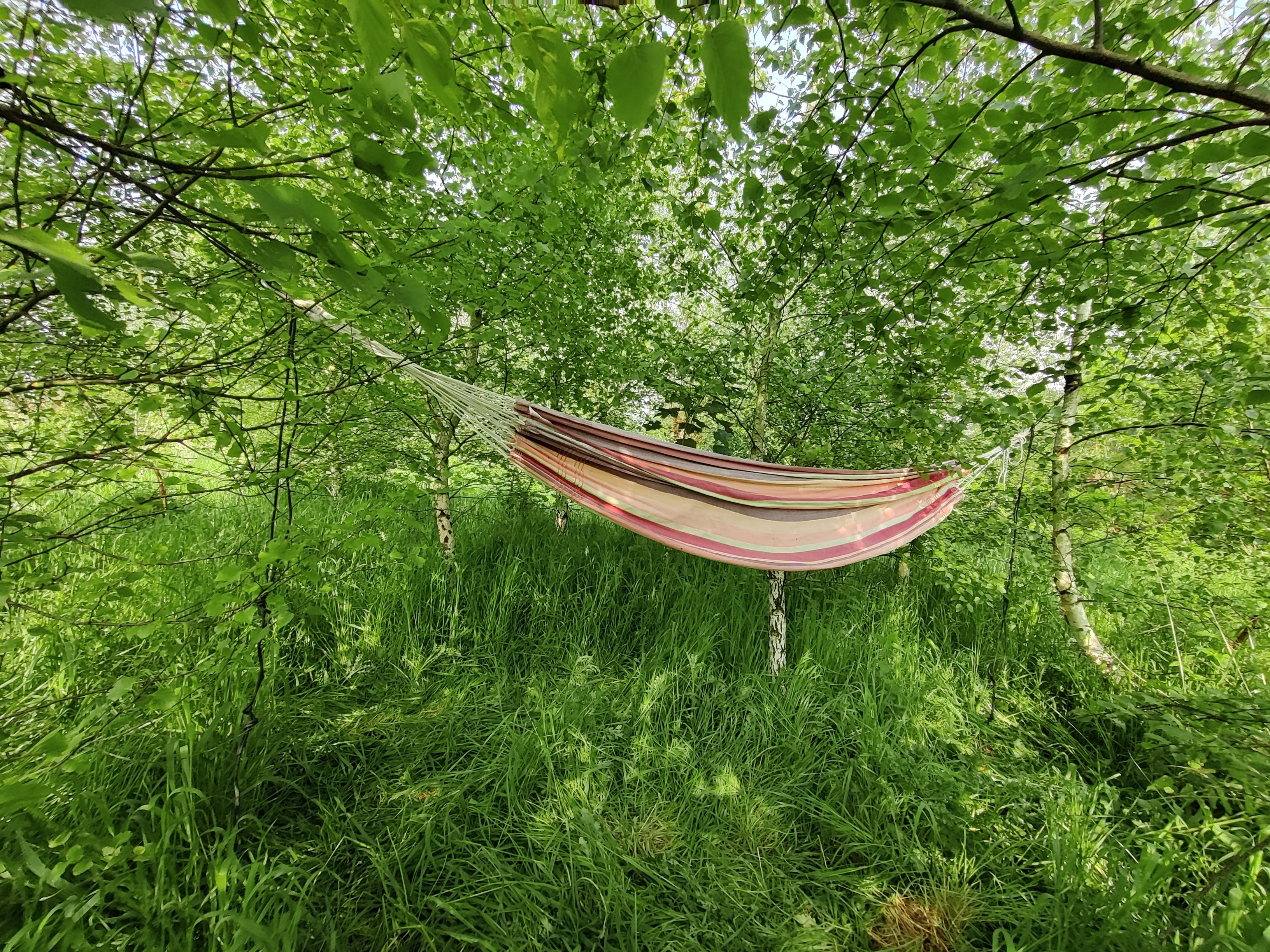 Voedselbos hangmat