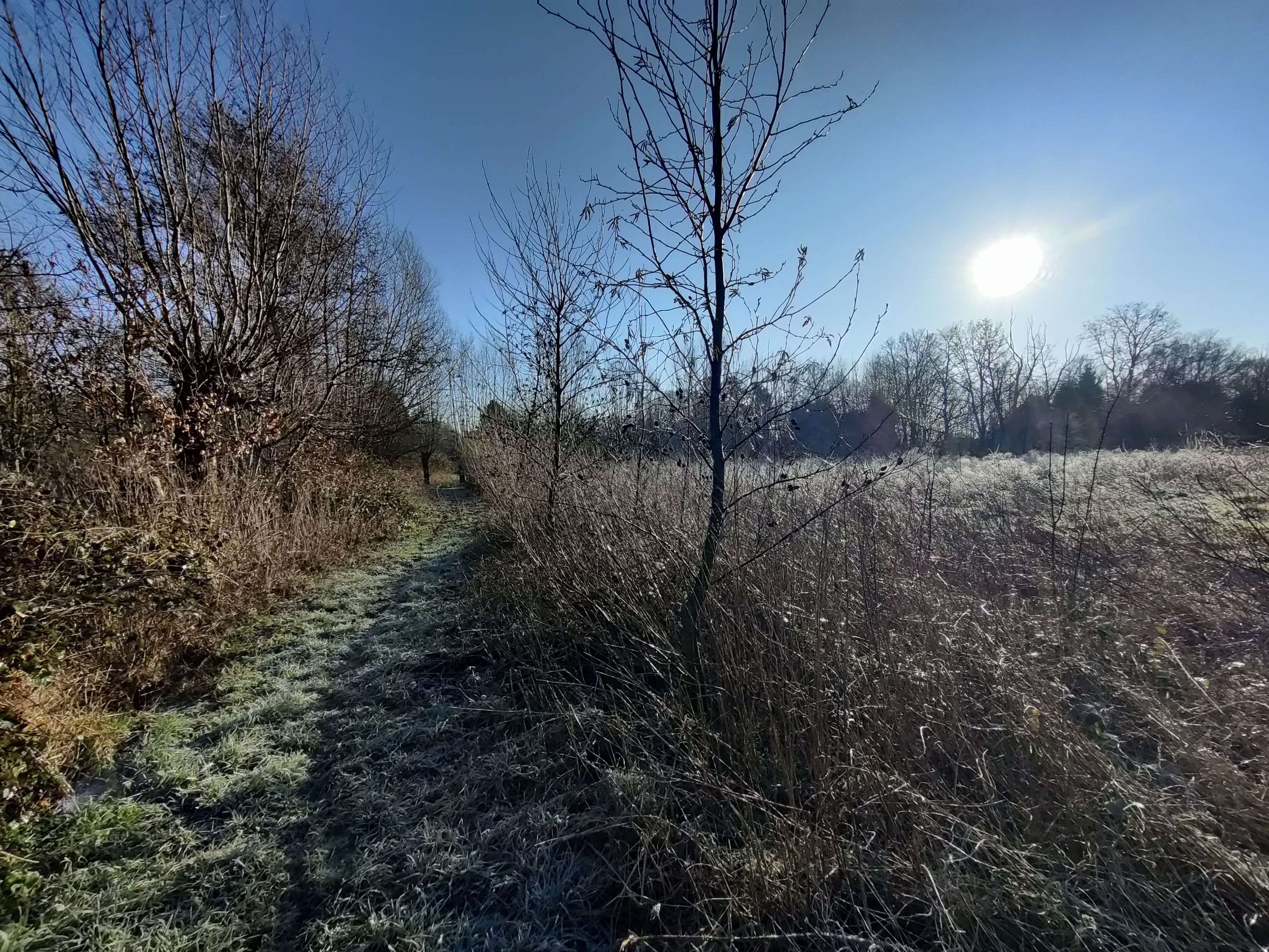 Voedselbos winter