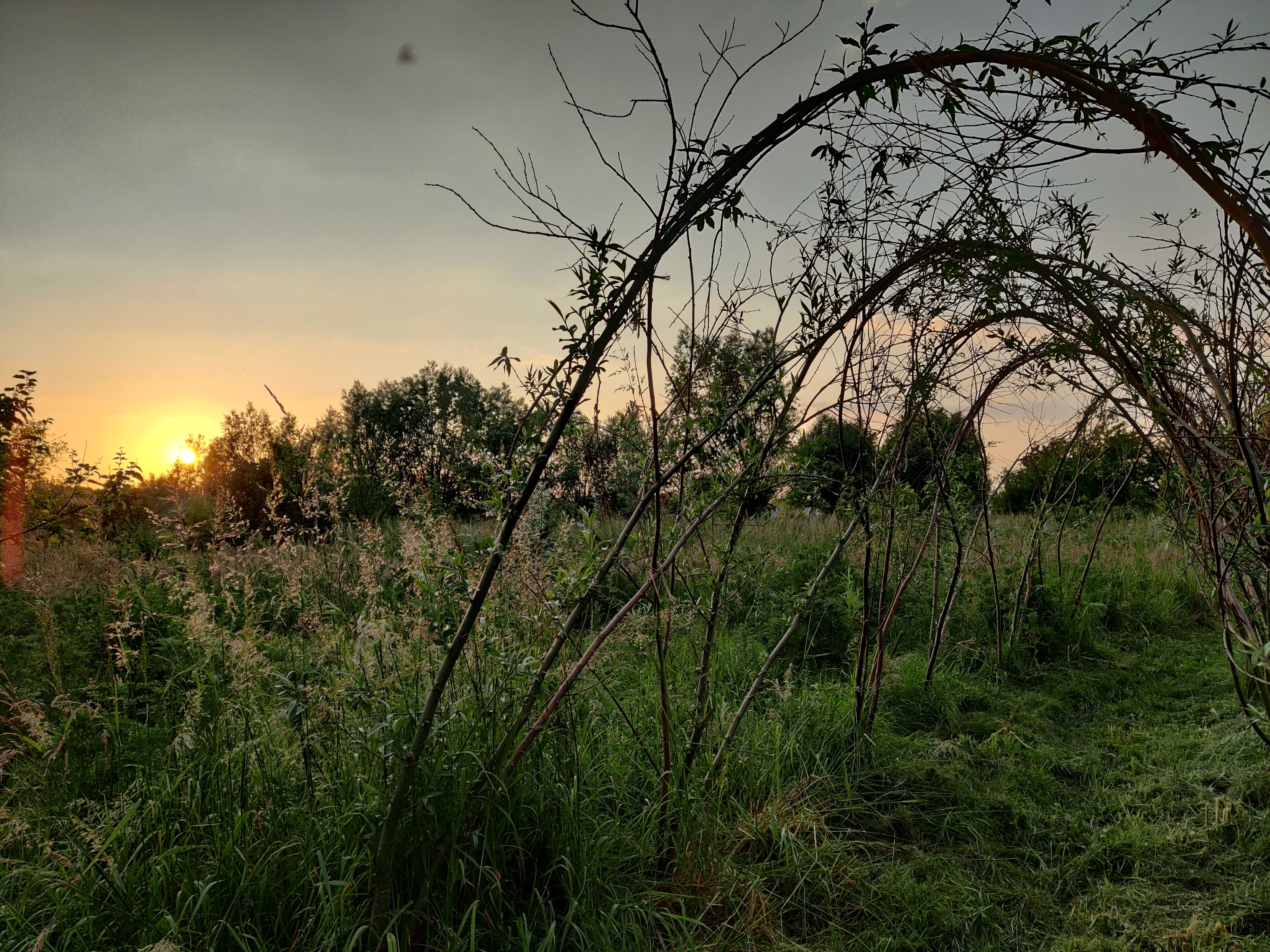Zonsondergang